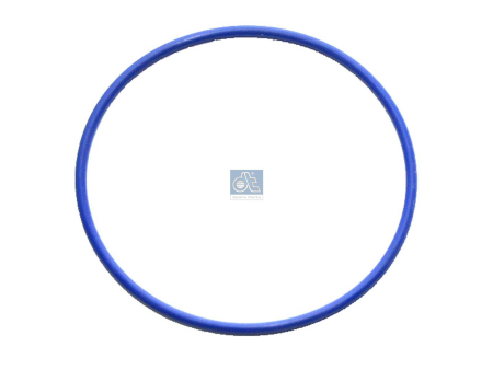 O-ring 1.24303